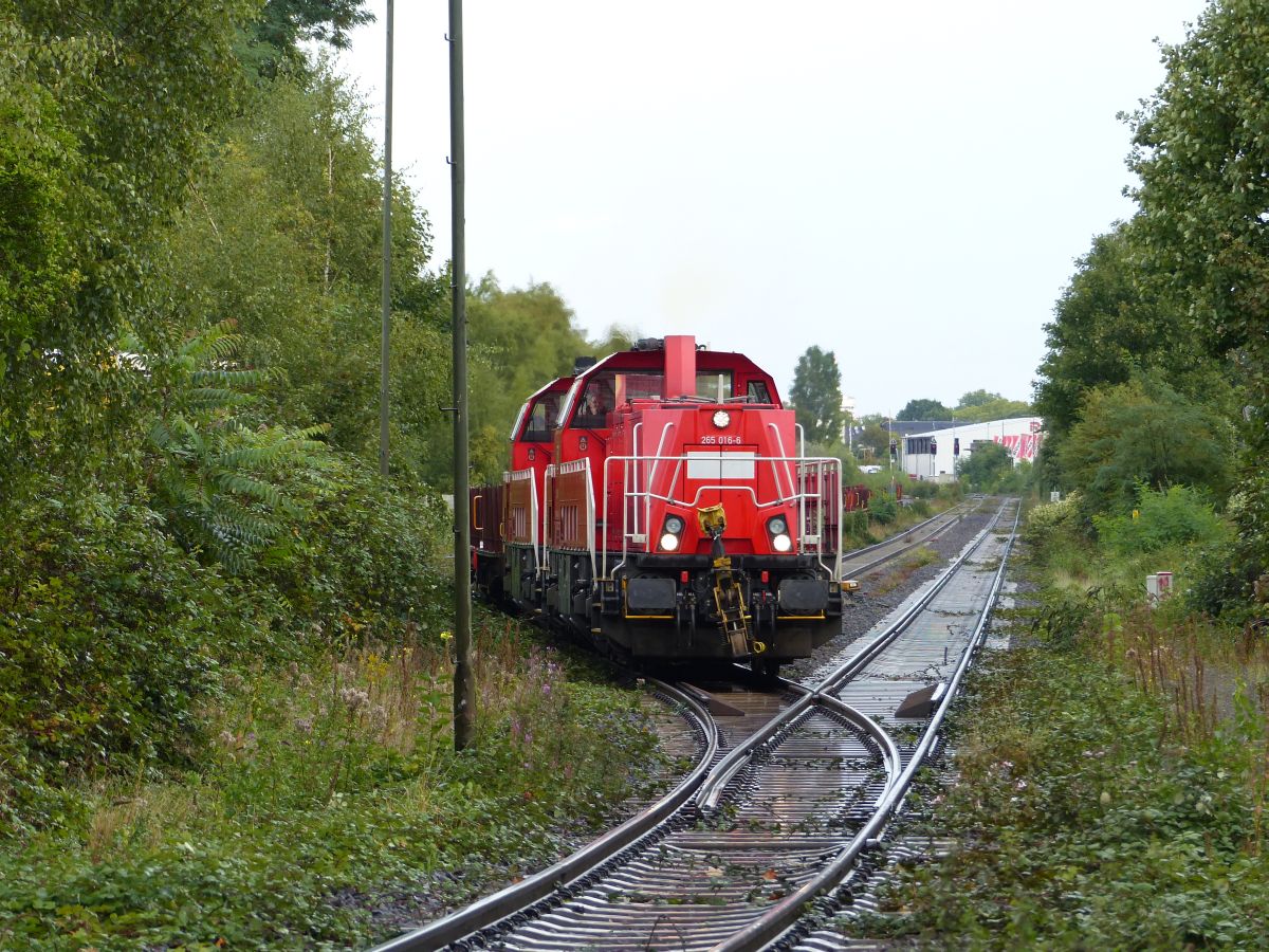 DB Cargo dieselloc 265 016-6 mit Schwesterlok Atroper Strae, Duisburg 14-09-2017.

DB Cargo dieselloc 265 016-6 met zusterloc Atroper Strae, Duisburg 14-09-2017.