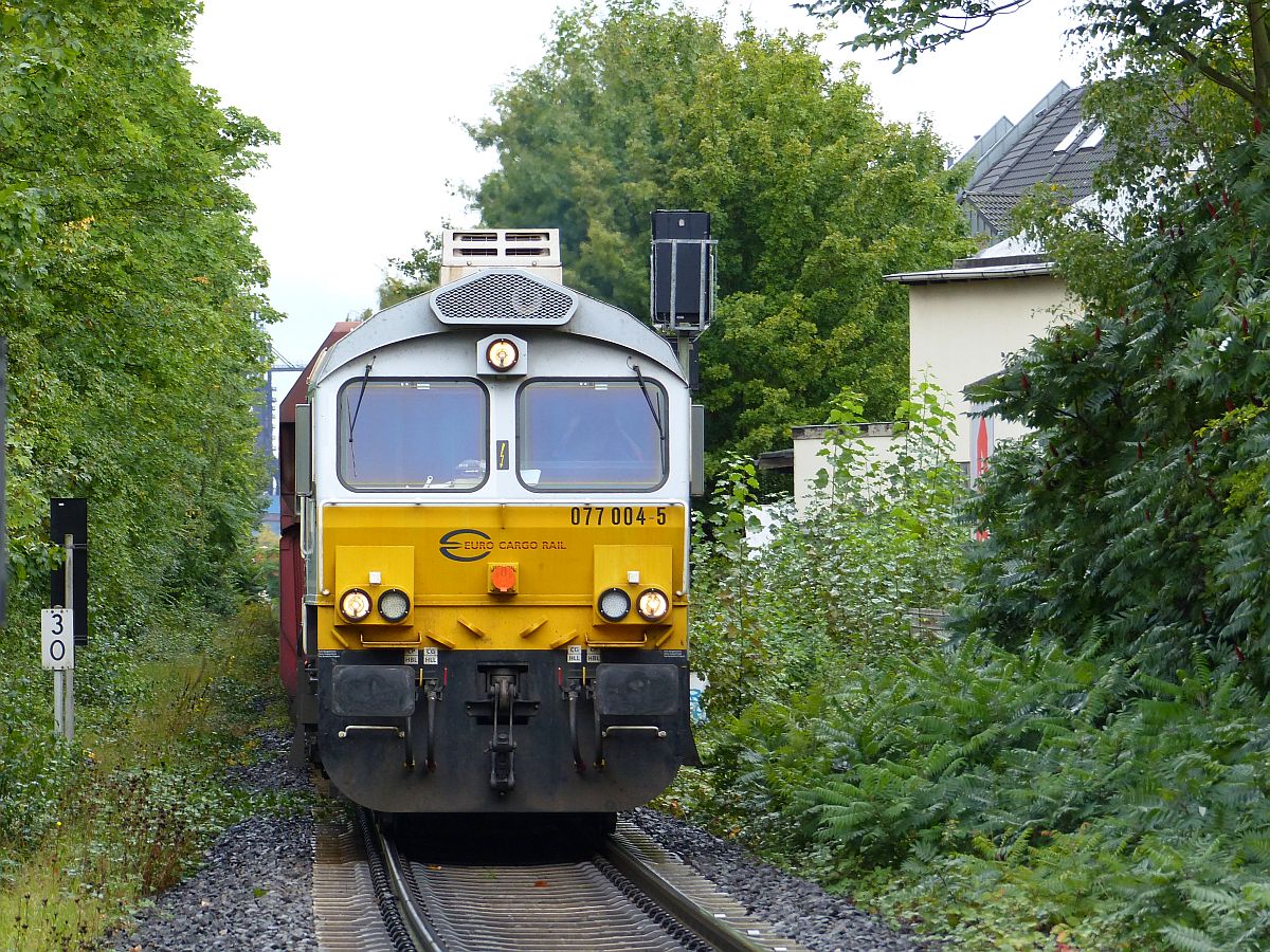 Euro Cargo Rail (ECR) Diesellok 077 004-5 Atroper Strae, Duisburg 14-09-2017.

Euro Cargo Rail (ECR) dieselloc 077 004-5 Atroper Strae, Duisburg 14-09-2017.