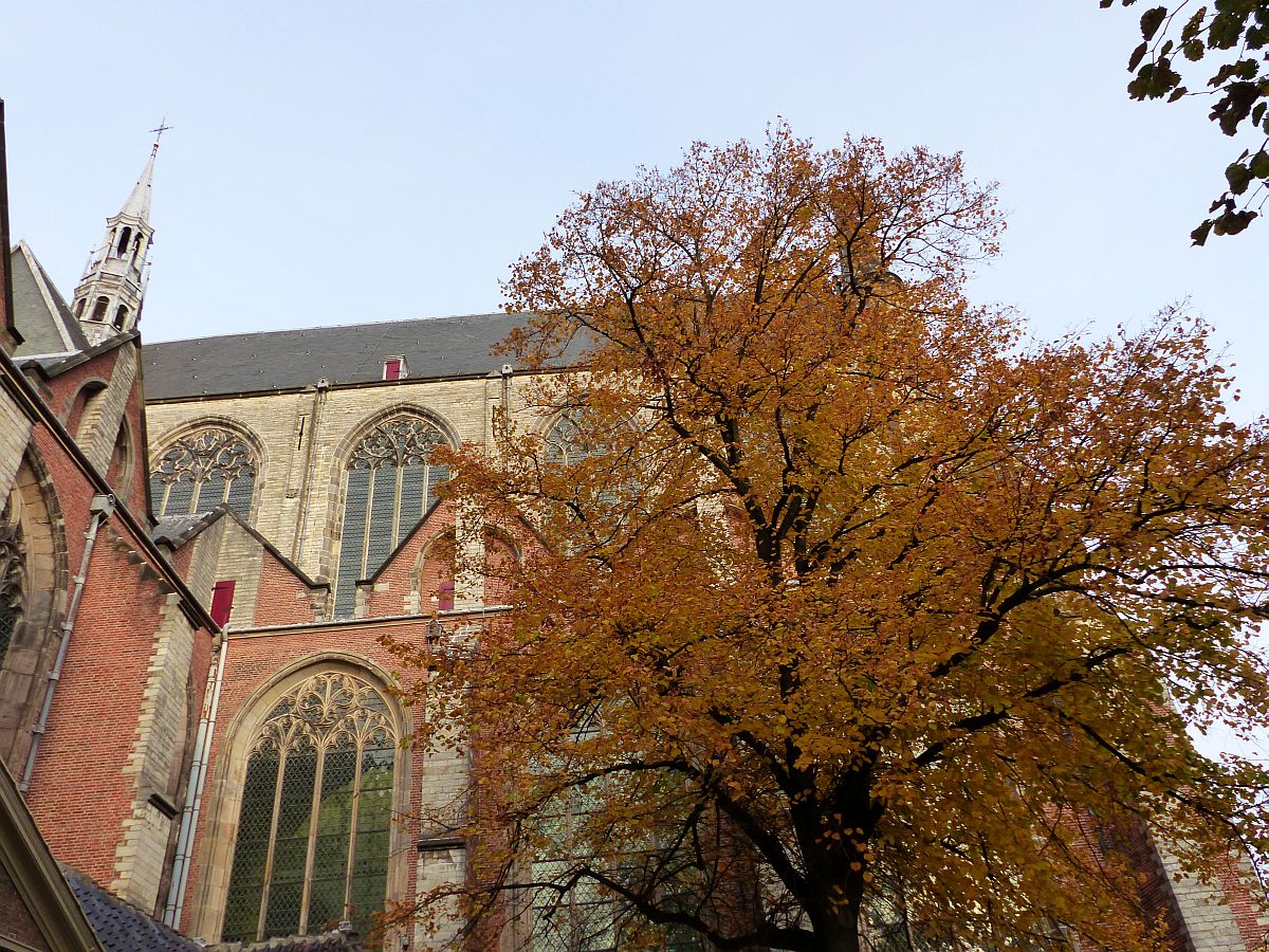 Herbstfarben Hooglandse kerk. Nieuwstraat, Leiden 25-10-2015.

Boom in herfstkleuren voor de Hooglandse kerk. Nieuwstraat, Leiden 25-10-2015.