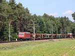 DB Cargo Lokomotive 185 341-5 Bernte, Emsbren 03-06-2022.