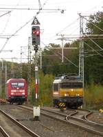 NS Lok 1744 Gleis 11 und DB Lok 101 122-0 Bad Bentheim, Deutschland 02-11-2018.

NS loc 1744 spoor 11 en DB loc 101 122-0 Bad Bentheim, Duitsland 02-11-2018.