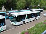 EBS RRReis Bus 2081 BYD K9 Baujahr 2020.