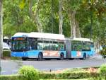 EMT (Empresa Municipal de Transportes de Madrid) Bus 503  MAN NG 313-F Castrosua City Versus Baujahr 2012.