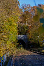 Herbstzeit im Hellertal.....und der Zug kommt....