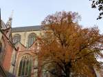 Herbstfarben Hooglandse kerk. Nieuwstraat, Leiden 25-10-2015.

Boom in herfstkleuren voor de Hooglandse kerk. Nieuwstraat, Leiden 25-10-2015.