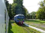 Diesellokomotive TU2 087 der Kindereisenbahn. Strijskij Park, Lviv Ukraine 31-08-2019. 

Diesellocomotief TU2 087 van de pionier of kinderspoorweg. Strijskij Park, Lviv, Oekrane 31-08-2019.