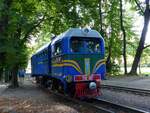 Diesellokomotive TU2 087 der Kindereisenbahn. Strijskij Park, Lviv Ukraine 31-08-2019.

Diesellocomotief TU2 087 van de pionier of kinderspoorweg. Strijskij Park, Lviv, Oekrane 31-08-2019. 
