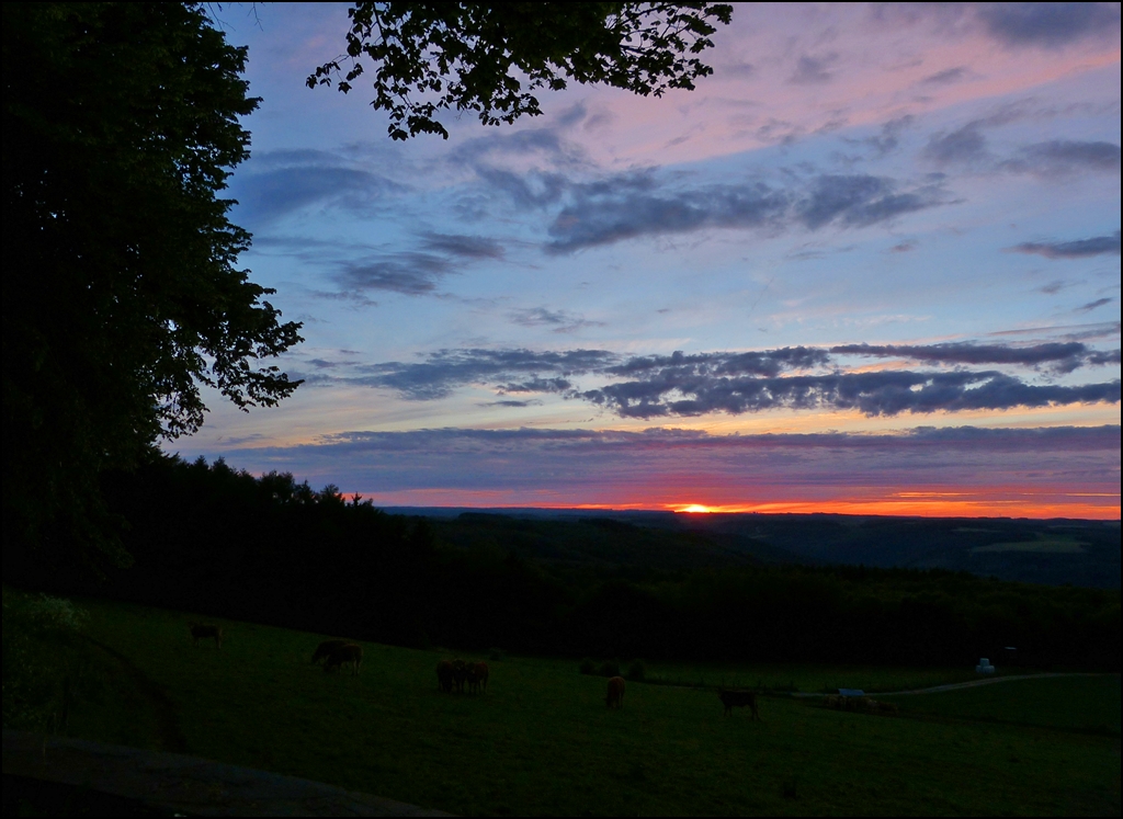 . Ein wunderschner Tag geht zu Ende. 16.06.2013 (Jeanny)