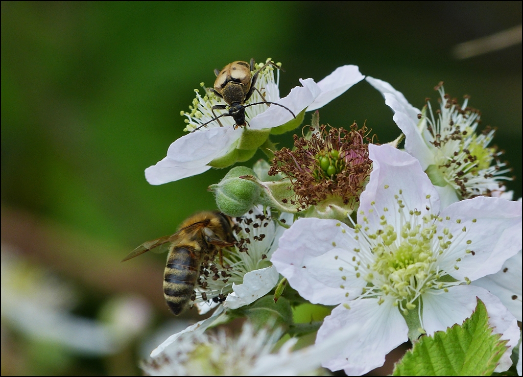 . Ist da noch jemand? 01.07.2013 (Jeanny)