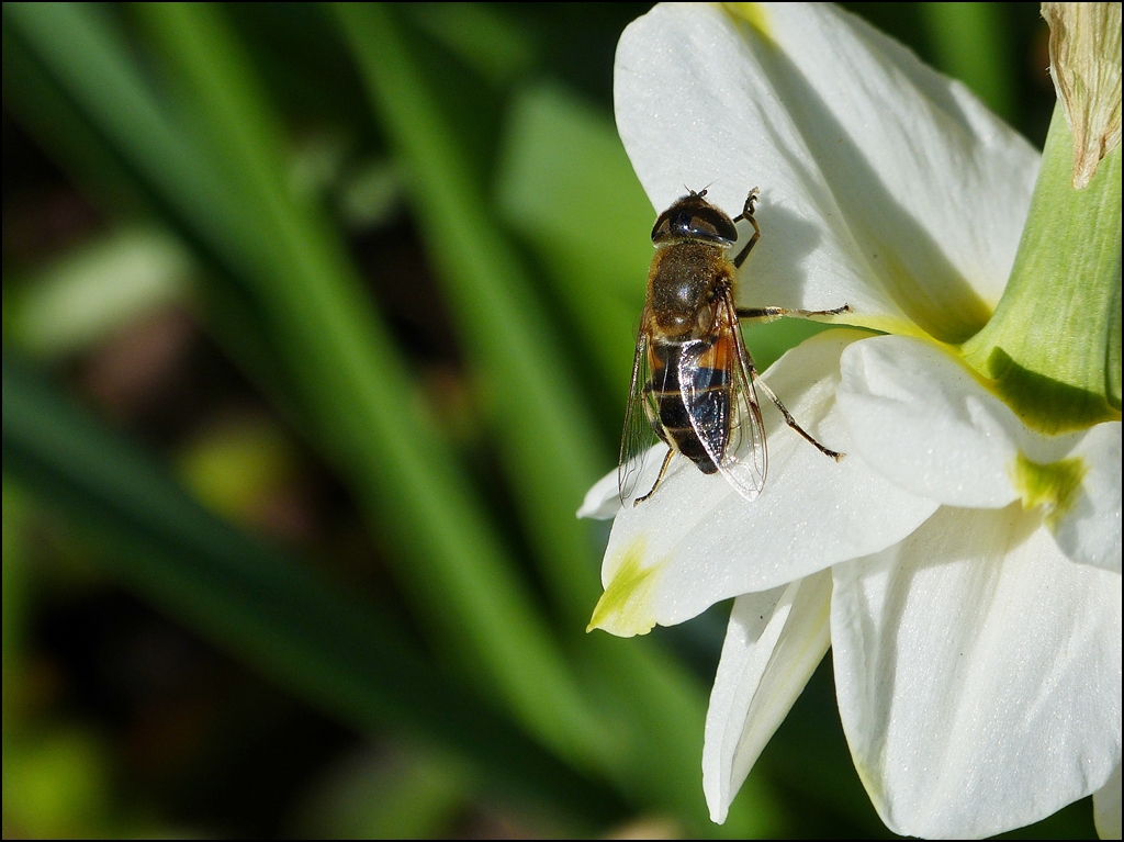 . Kurze Rast. 24.04.2013 (Jeanny)