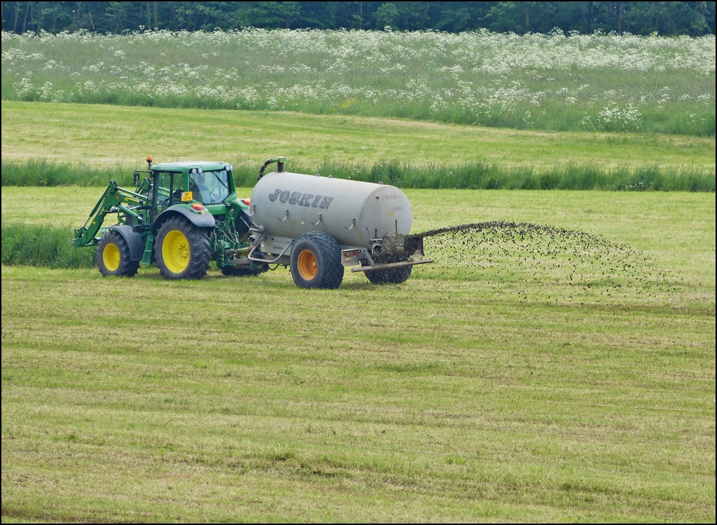 . Wie gut fand dieses duftende Ereignis gestern in Erpeldange statt, somit bleibt dem lndlichen Geruch noch gengend Zeit sich zu  verflchtigen . ;-) 08.06.2013 (Hans)