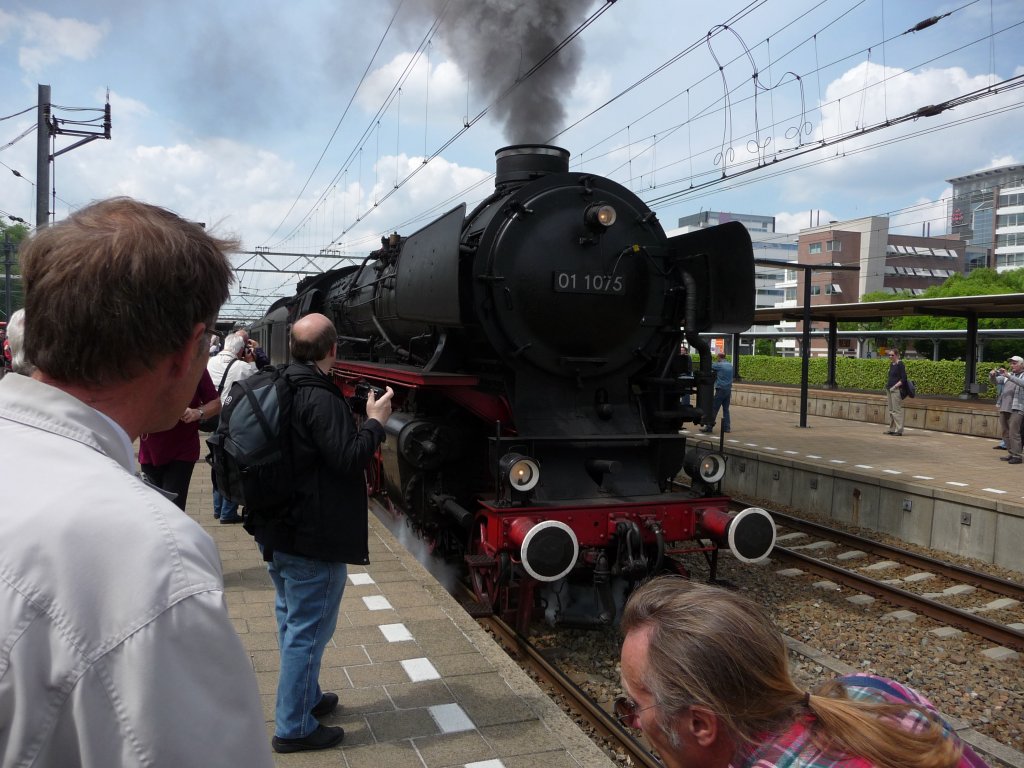 01 1075 der  stoom stiching Nederland  befrdert zur Veranstaltung  Dordt in stoom  trafitionell zusammen mit 65 018 desselben Vereins den Dampfzug vom Bahnhof Dordrecht zum Aussetllungsgelnde. Hier am 29.05.2010 im Bahnhof Dordrecht.