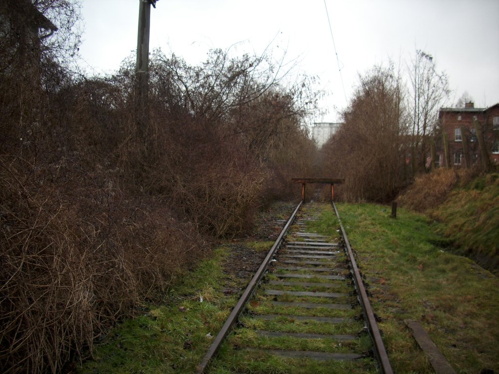 Ab hier begann die Steilstrecke zum Sassnitzer Hafen.Aufnahme vom 24.Januar 2009.