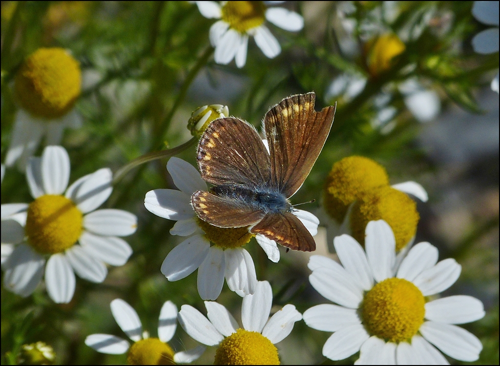 Abgeflogen. 07.09.2012 (Jeanny)