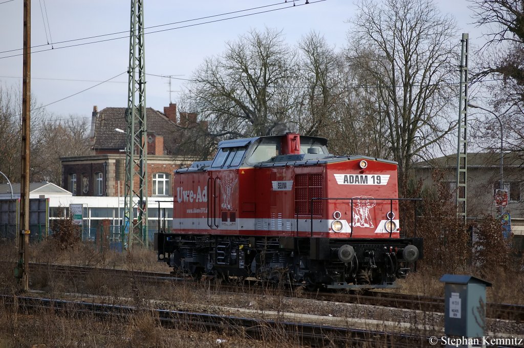 Adam 19 [Selina] (202 501-3) von der Uwe Adam Eisenbahnverkehrsunternehmen beim rangieren in Stendal. 25.02.2011