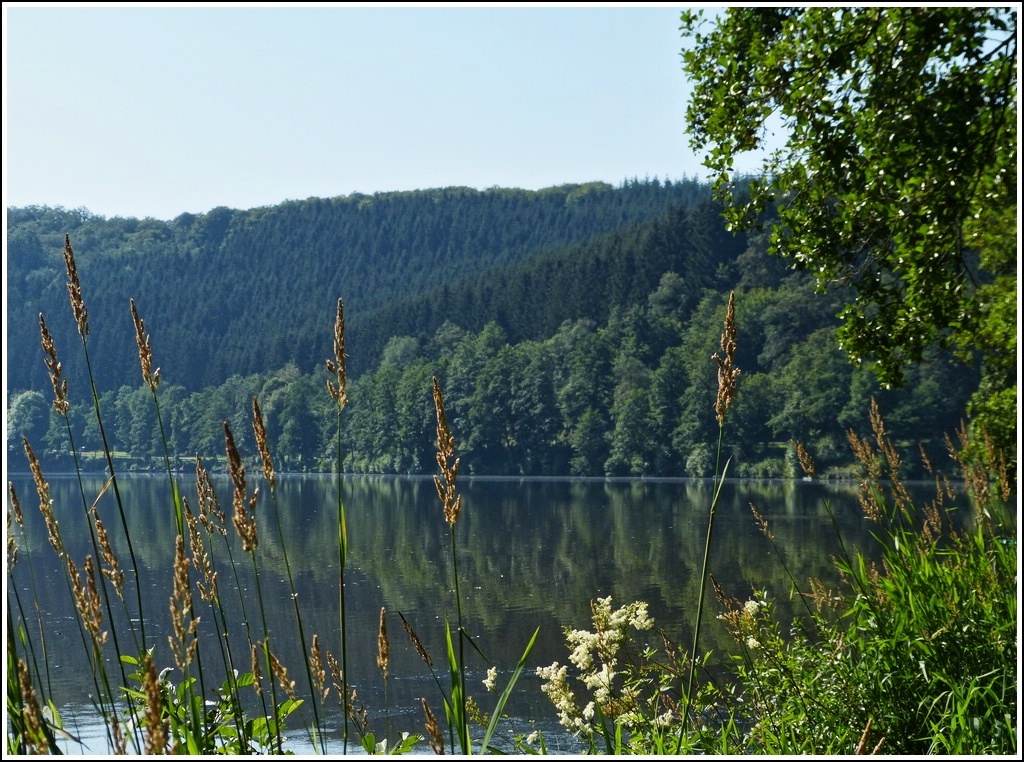 Am Stausee der Obersauer. Bavigne, 25.07.2012 (Jeanny)