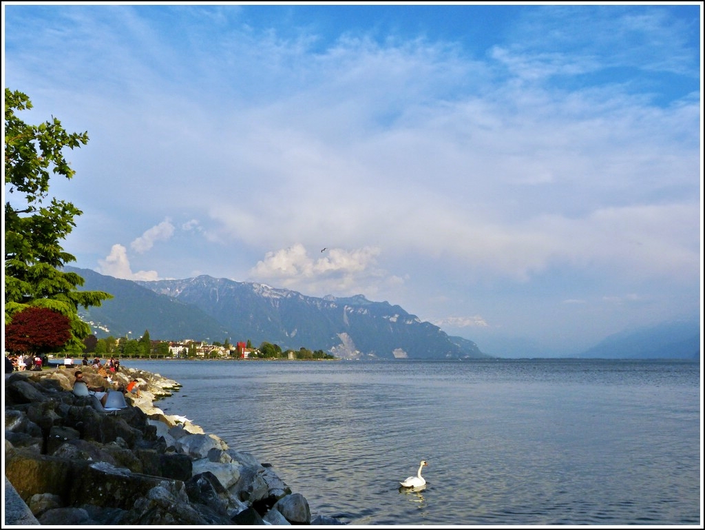 An Hand der drei Bilder drfte die geografische Lage wohl geklrt sein:: Dieses Bild zeigt ungefhr dieselbe Aussicht wie Armins Foto mit den Geranien. Vevey,  25.05.2012 (Jeanny)