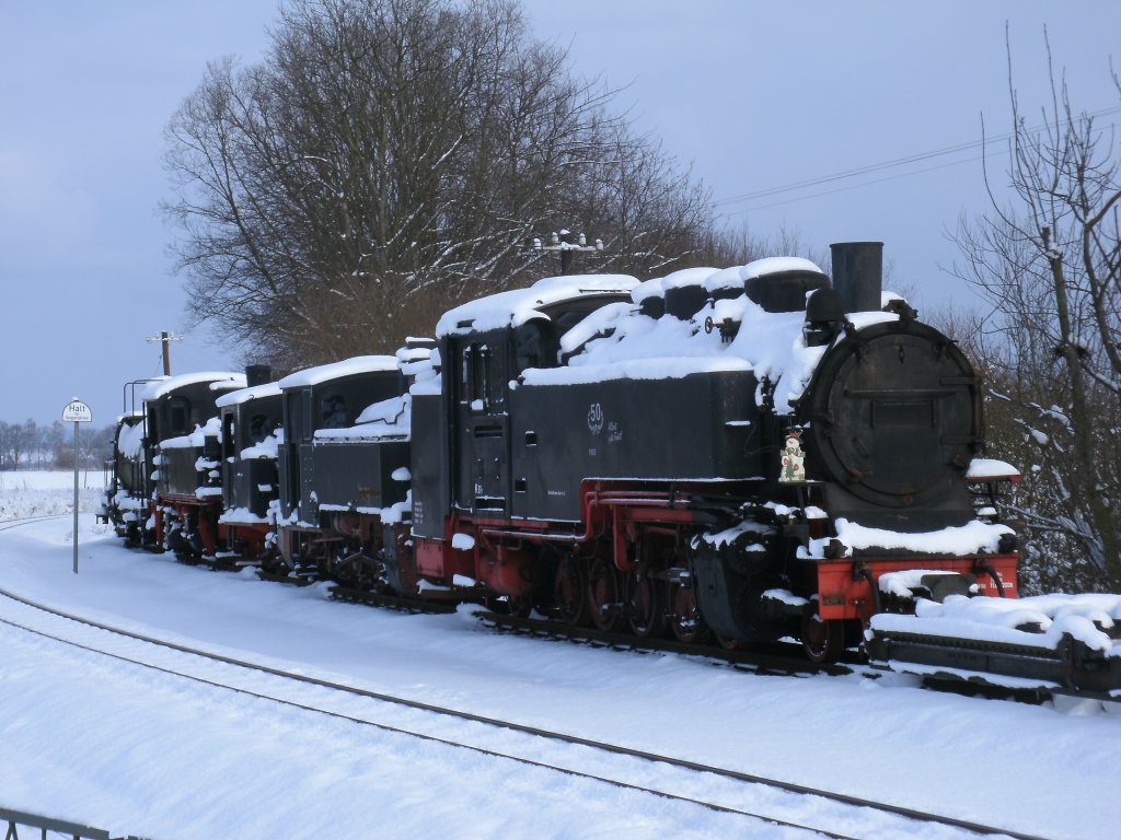 Auch in diesem Winter haben sich diese Loks nicht einen einzigen Zentimeter in Putbus bewegt.Aufnahme vom 04.Februar 2012.