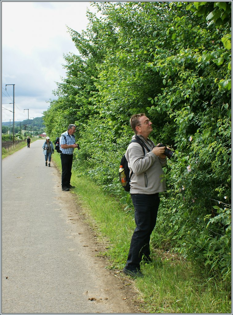 Auf der Suche nach Alternativen - denn der nchste Zug lsst auf sich warten...
(15.06.2013)