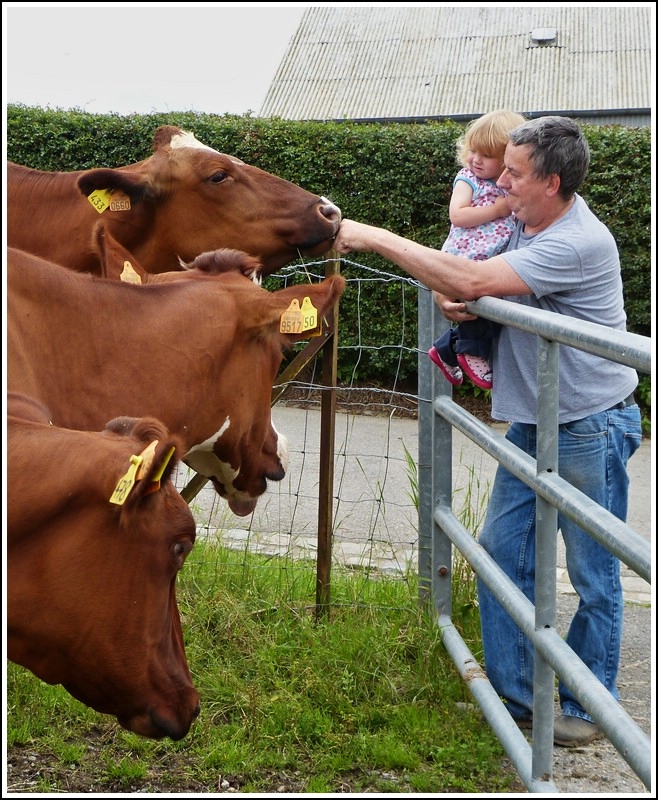 Besuch bei den Linsenputzern. 21.06.2012 (Jeanny)