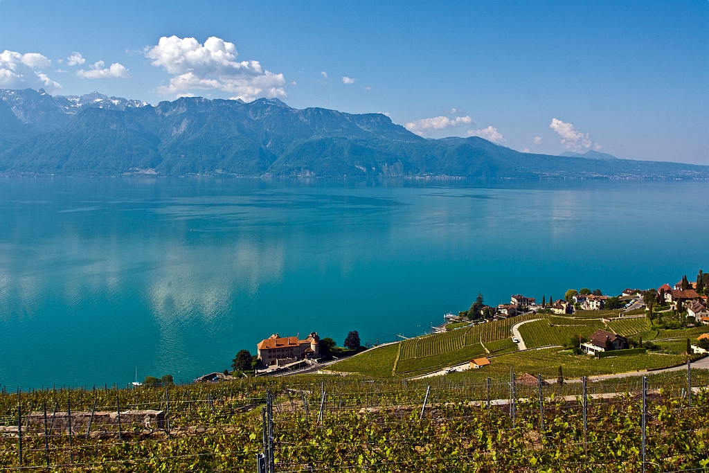 Blick auf den Gefersee am 28.05.2012 bei Chexbres. Am Ufer des Sees das Chteau de Glrolles. Das friedliche Leben des ehemaligen Dorfes von Glrolles (Glerula) endet im Jahre 563 als pltzlich die Ufer des Genfersees von einer Flutwelle erafsst werden und neu entsteht die heutige Ortschaft Saint-Saphorin. Allein das Schloss trgt heute noch den Namen Glrolles, der damals rmischen Ortschaft Glerula (lat. Kies/Kieselsteine), welche der Naturkatastrophe zum Opfer fiel. Rechts beginnt die Gemeinde Rivaz (VD).