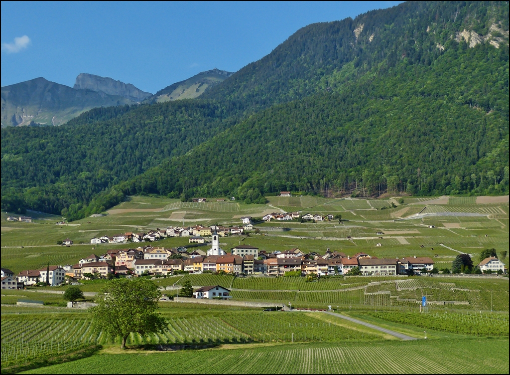 Blick nach Yvorne aus dem fahrenden IC zwischen Aigle und Villeneuve. 28.05.2012 (Hans)