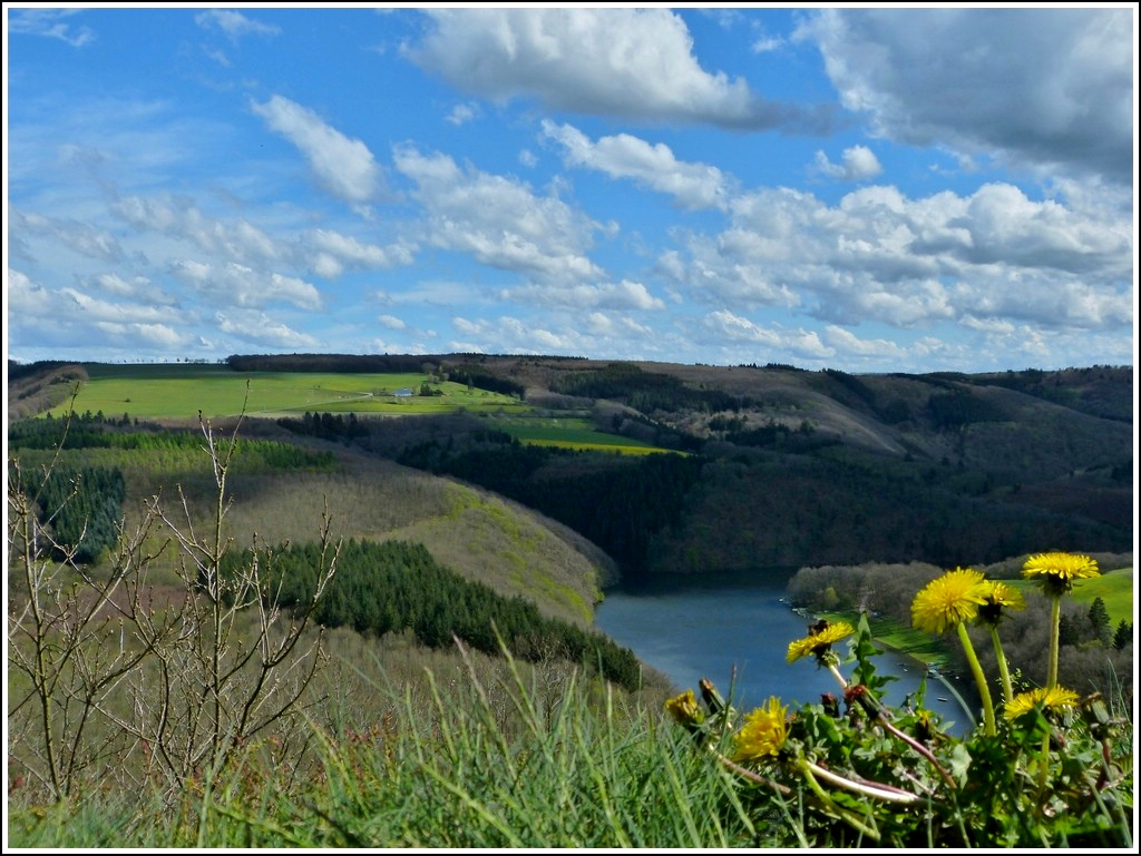 Blick in den Naturpark der Obersauer. 29.04.2012 (Jeanny)