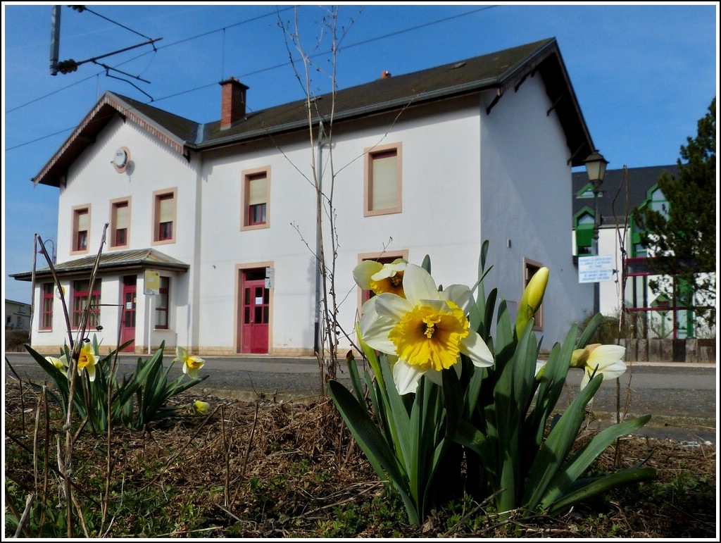 Blumiger Bahnhof Wilwerwiltz. 27.02.2012 (Jeanny)