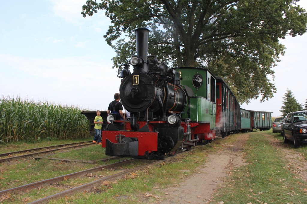 Das Herz des Vereins Die Henschel Und Sohn Dampflok.
Sie Trgt die Nummer 1. Sie Gehrte Frher dem Tv Nord.
Am 03.10.2011 Stand sie  mit Ihren Zug Oben Im Museum Ltjenkamp Und Wartet Auf Fahrgste.