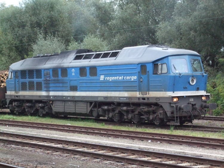 Die Freude war gro als ich die D06(ex231 012)noch vor der Abfahrt Richtung Stendal-Niedergrne im Bahnhof Rostock-Bramow bekam.(12.10.10)