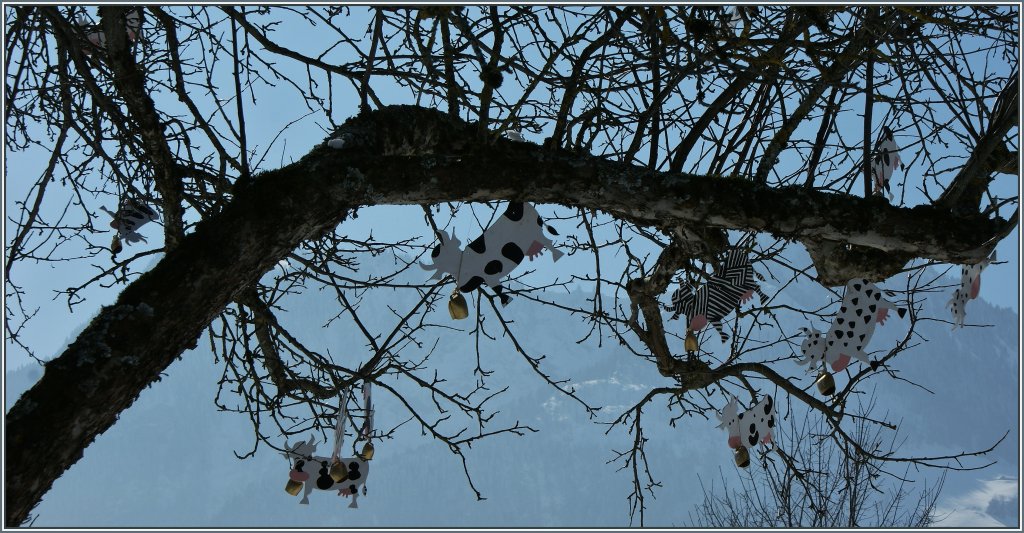 Die Nachfrage nach Linsenputzer treibt seltsame Blten...
(26.02.2013)