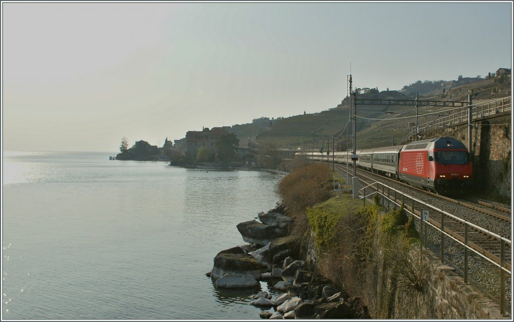 Ein abendliches Licht und Schattenspiel am Ufer des Lac L�man.
Re 460 mit IR nach Brig zwischen Rivaz und St Saphorin.
25. M�rz 2012