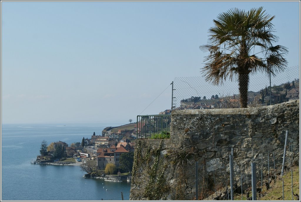 Ein Bahnsuchbild - im Lavaux bei St Saphorin und Rivaz am 20. M�arz 2012