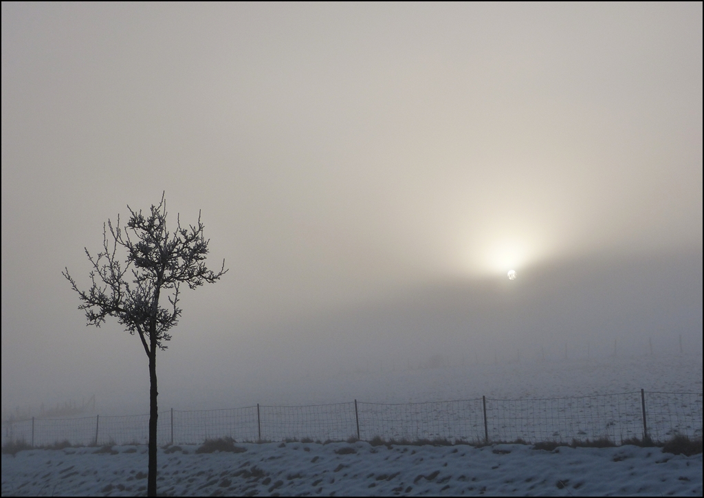 Ein schner Tag beginnt. 18.02.2013 (Jeanny)