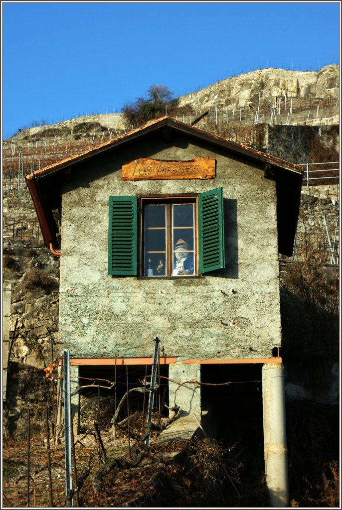 Es grsst freundlich Gary aus den Ferien im Lavaux...
(08.02.2011)