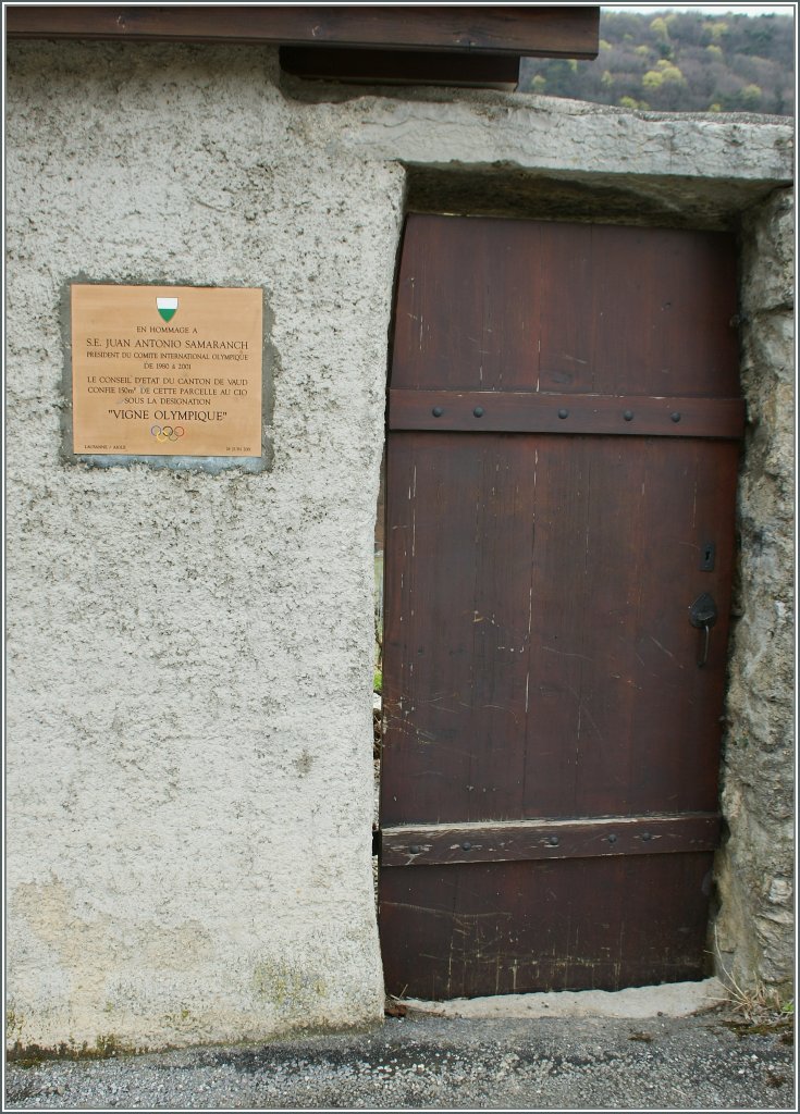 Hinter dieser Mauer gedeiht, wie auf dem Schild zu lesen ist sportlicher Wein vom Feinsten...
Aigle, den 27.03.2011