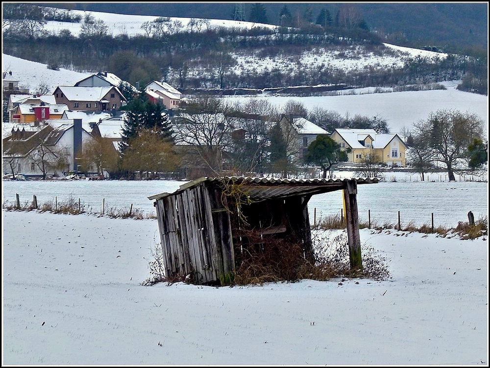 Passt zu Weihnachten. Lintgen  05.12.2010 (Jeanny)