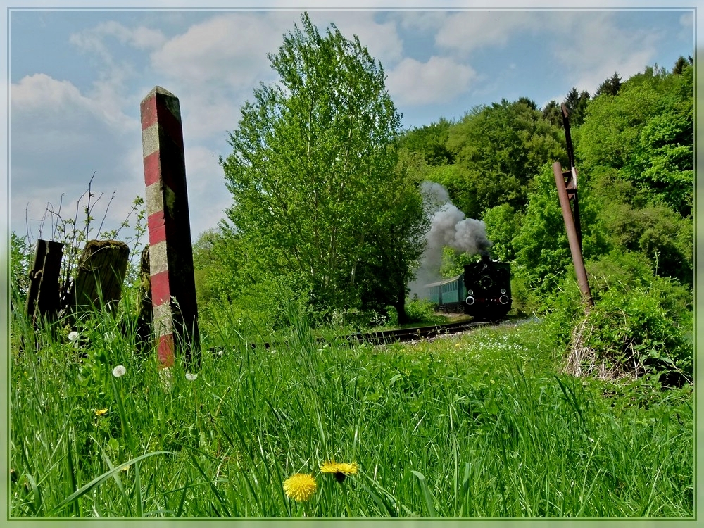 Schiefe Souvenirs an einen ehemaligen Bahnbergang an der Museumsstrecke. 01.05.2011 (Jeanny) 