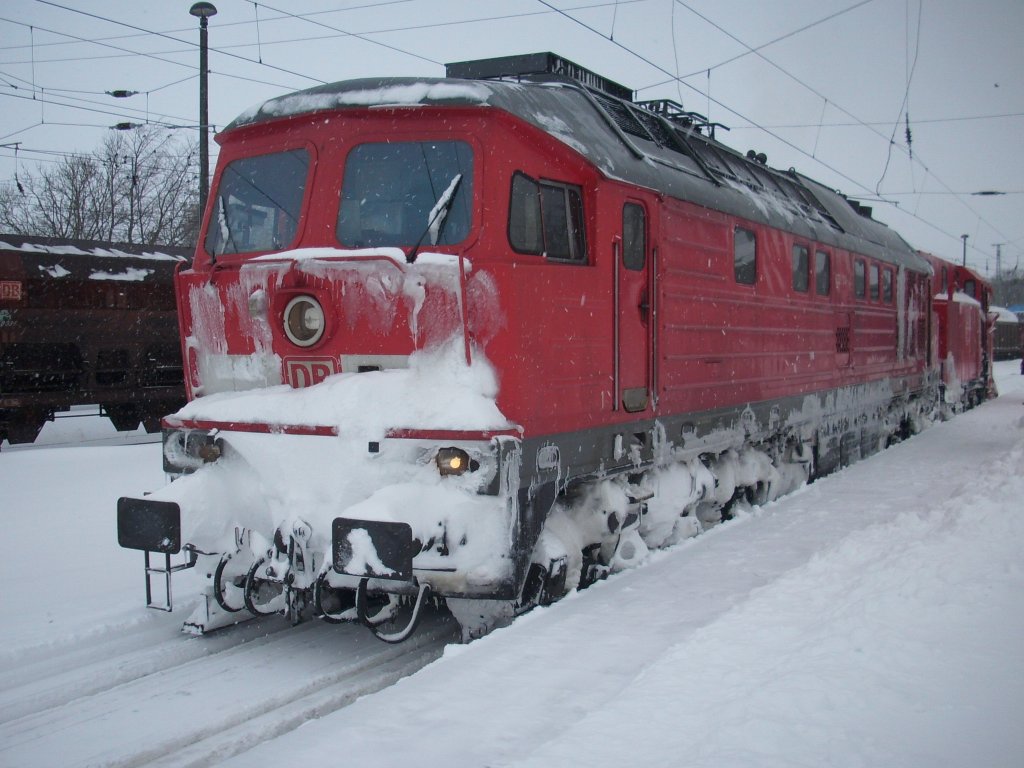 Seddiner 233 314 mit den Arnstdter Schneepflug 80-80-970 5010-4 am 13.Februar 2010 in Bergen/Rgen.