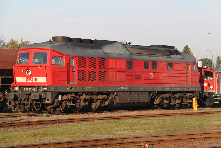 Seitenaufnahme von 233 233-6 im Kombiwerk Rostock-Seehafen.02.10.2011