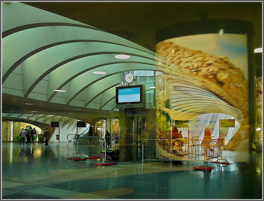 Transparente Einkaufspassage im Bahnhof Lige Guillemins. 16.01.10 (Jeanny)