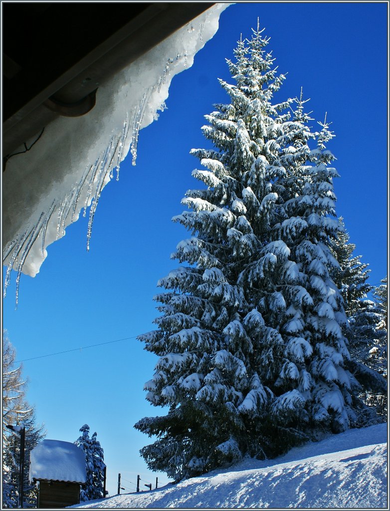 Winter auf Les Pliades.
( 19.12.2012)