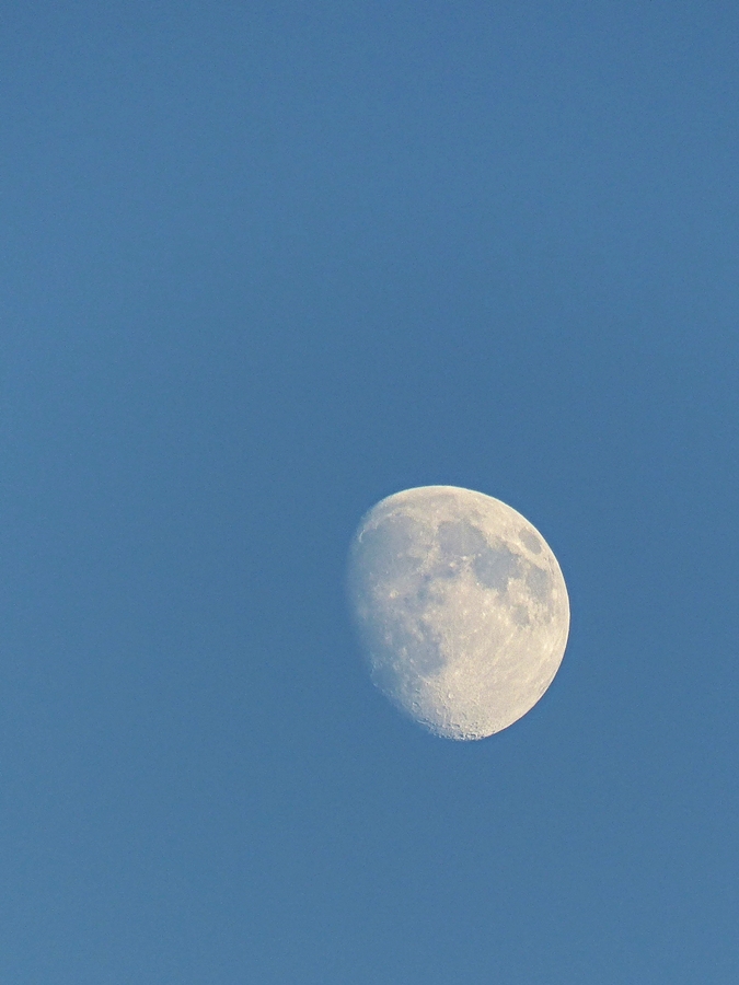 . Abendlicher Blick in den Himmel. 05.09.2014 (Jeanny)