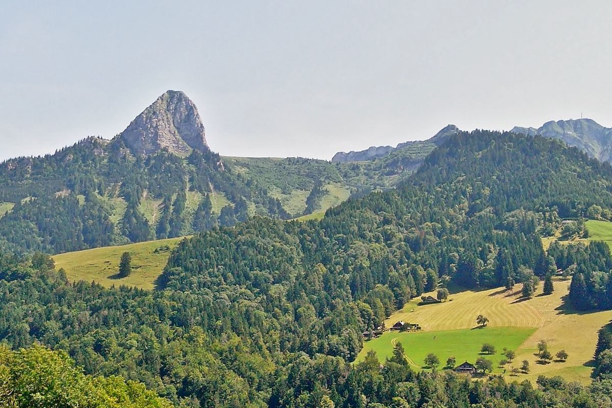 . Aussicht aus dem Zug auf den Dent de Jaman und den Rochers de Naye in der Nhe von Les Avants. 31.07.2008 (Jeanny)