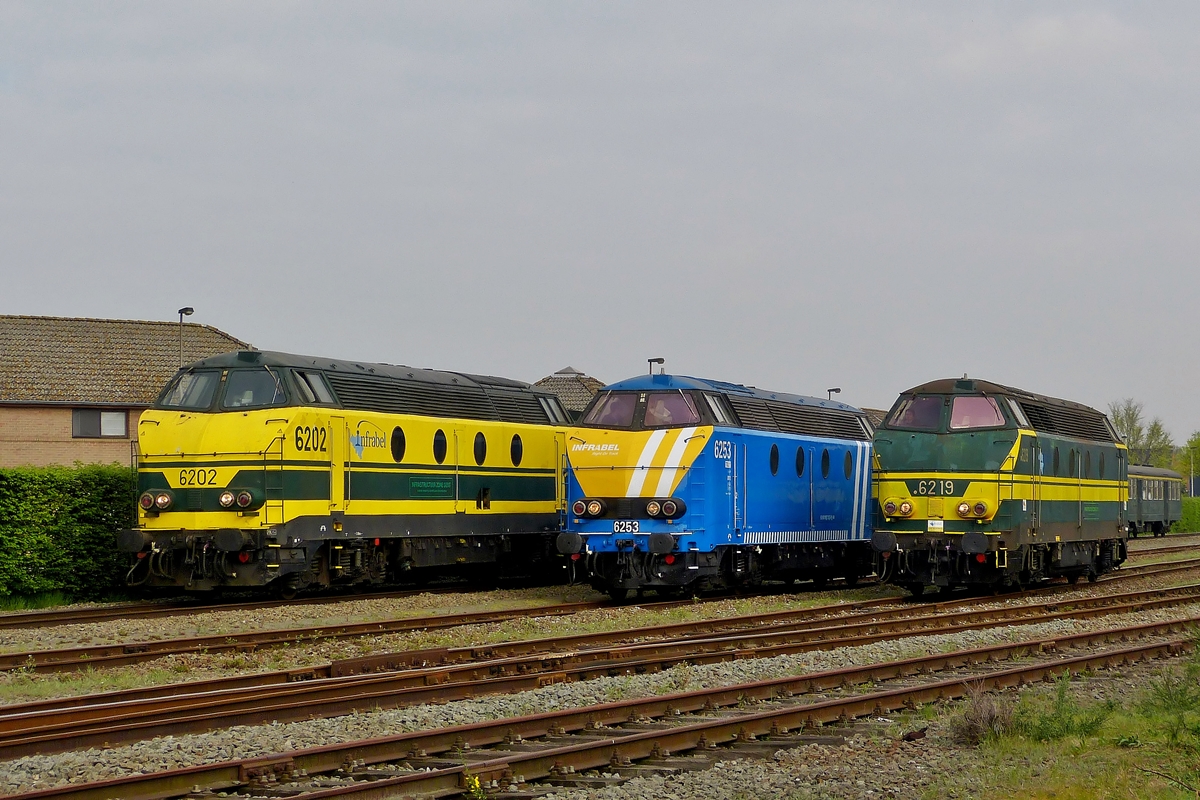 . Bei der PFT/TSP Sonderfahrt  Hommage aux locos de la srie 62  nahmen gleich drei Schnheiten teil: Die HLD 6202, 6253 und 6219. Beim Fotostop im Bahnhof von Zelzate wurden die drei Dieselloks fr die Fotografen neben einander aufgestellt.

Die drei Loks sind noch bei Infrabel im Einsatz und zeigen drei unterschiedliche Farbgebungen, welche noch bei Einzelportraits ausgiebig beschrieben werden. 05.04.2014 (Hans)