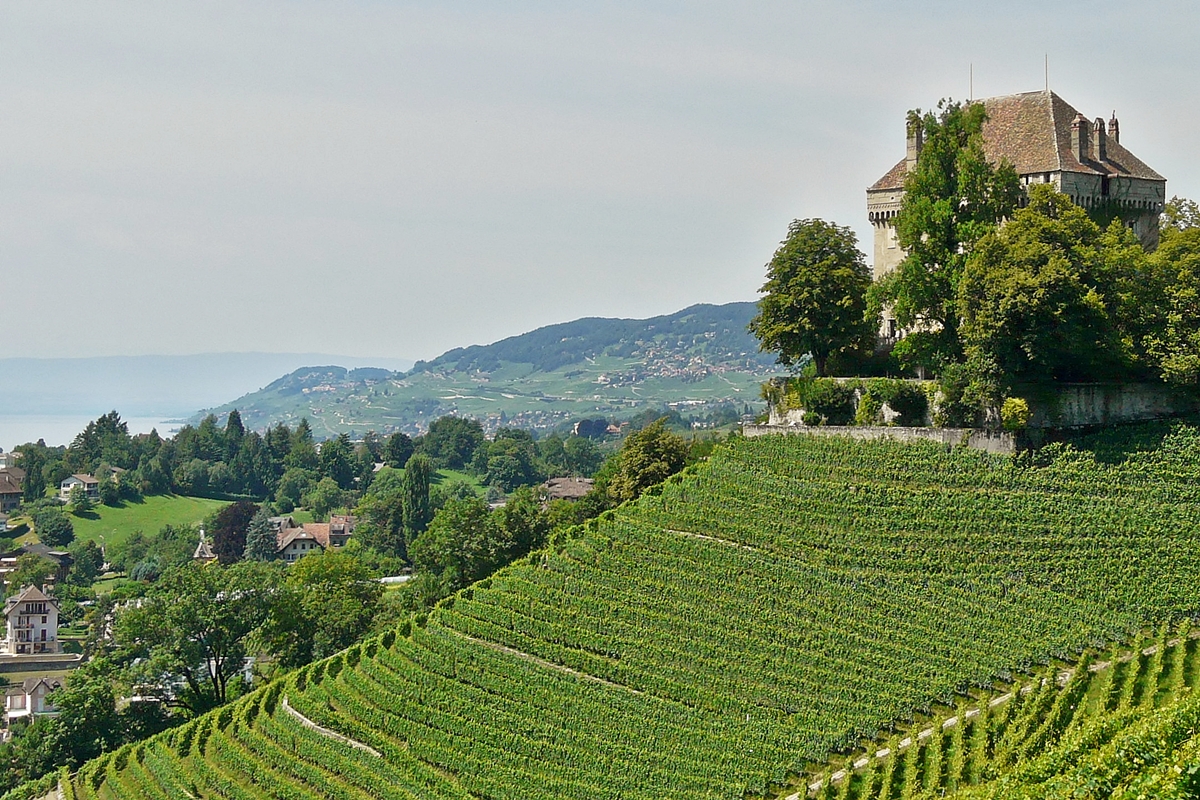 . Blick aus dem Zug auf der Chteau de Chtelard und die Weinberge oberhalb von Montreux.31.07.2008 (Jeanny) 