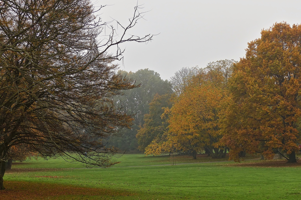 . Blick in den herbstlichen Park in Bad Nauheim. 01.11.2014 (Jeanny)