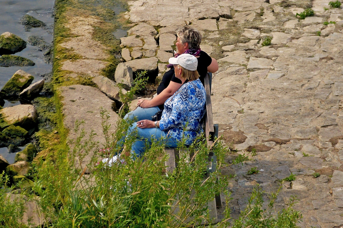 . Der letzte Tag - Noch schnell ein bisschen an der Mosel chillen. Kobern-Gondorf, 22.06.2014 (Hans)