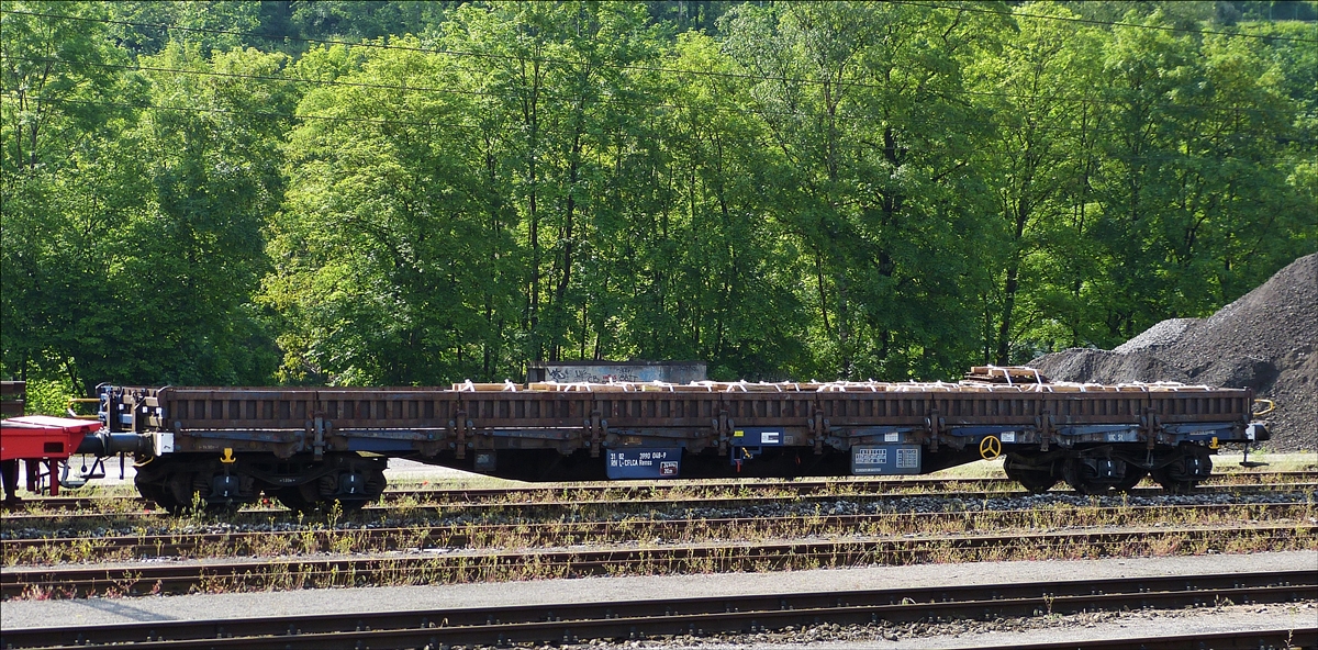 . Der vierachsige Flachwagen der Bauart Rens(s); (31 RIV 82 L-CFLCA 3990 048-9); steht beladen im Bahnhof von Ettelbrck. (Hans)

Technische Daten:

Lnge ber Puffer: 19.900 mm;  Ladelnge:   18.500 mm; 
max. Wagenbreite:  3.026 mm;   Ladebreite:   2.660 mm; 
Drehzapfenabstand:   14.860 mm;  Nutzbare Bodenflche  ca 49 m;
Leergewicht:   25500 Kg;   max. Zuladung:   74500 kg;
Max. Geschwindigkeit leer / beladen  120 – 100 km/h;
Holzboden aus Lrchenholz, Aufbau mit 2 Stirnwandklappen; 18 Seitenwandklappen; 4 versenkbare Stirnwanderungen; 16 versenkbare Seitenwanderungen;16 Klapprungen; 18 Bindesen im Boden.
Die Wagen sind berwiegend zum Transport von Maschinenbauteilen sowie von Straenfahrzeugen und landwirtschaftlichen  Fahrzeugen vorgesehen. Die Wagen entsprechen den Anforderungen  zum befahren von Fhrschiffen.

