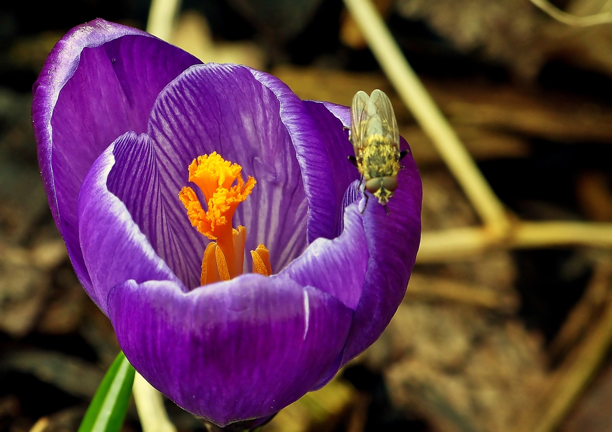 . Die ersten Besucher gibt's auch schon. 02.03.2014 (Jeanny)